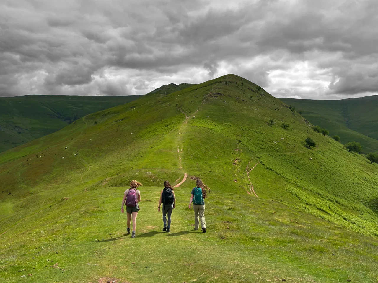 Trois personnes progressant sur un sentier de randonnée, photographie d'illustration d'une activité de plein air